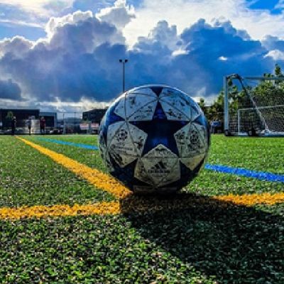 8-10 años de vida útil Alfombra de césped artificial para patio y jardín