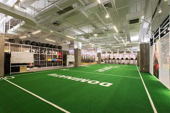 Líneas visibles de la cancha América Latina Deportes comerciales Césped artificial para mantenimiento regular
