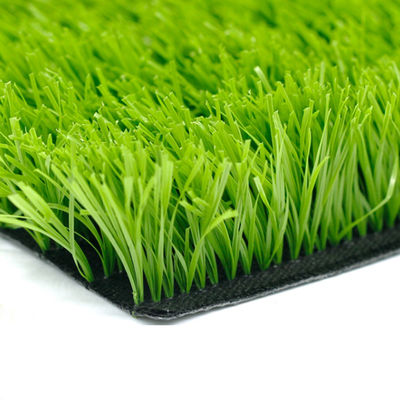 Fútbol Simulado Césped Alfombra PP Material Césped Artificial Imitación Césped Fútbol Césped sintético Fútbol Sistema de Césped Fútbol Diseño de Césped