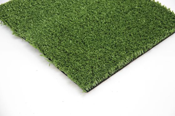 Pistas de padel de pared de vidrio profesionales para pedidos a granel Pistas de padel de interior diseñadas a medida