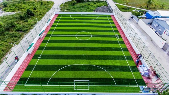 Césped artificial de 50 mm de altura de pila con fácil instalación, tacto suave y alta tenacidad para campos de fútbol