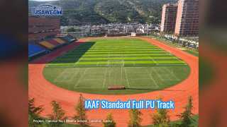 Estándar completo profesional de la pista corriente de la PU de IAAF 13m m